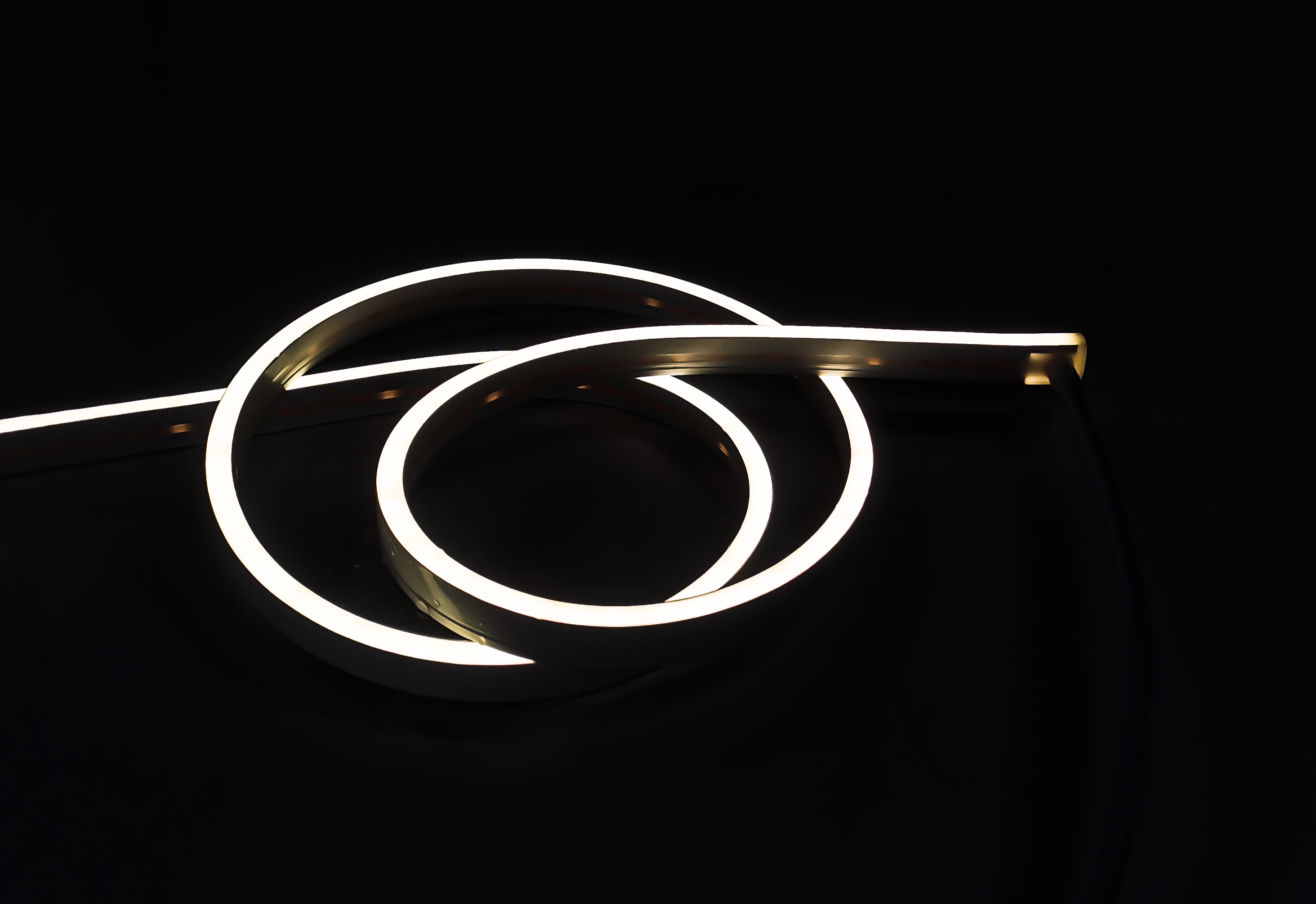 Neon Flex Alpha 0612